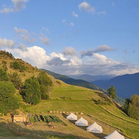 Lodg'Ing Secret Camp Ariege Hotell Lordat Exteriör bild